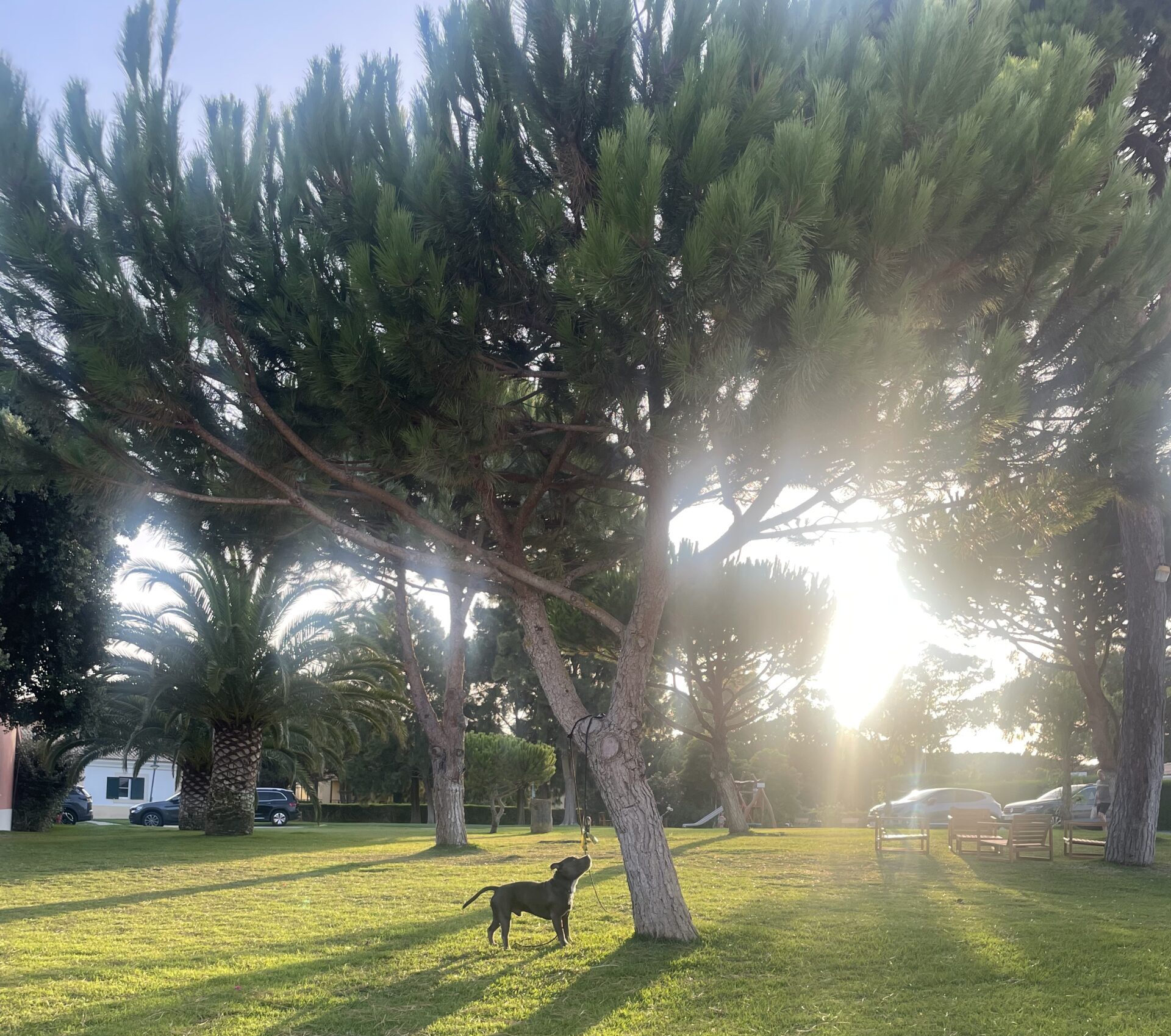 Natuur als inspiratie