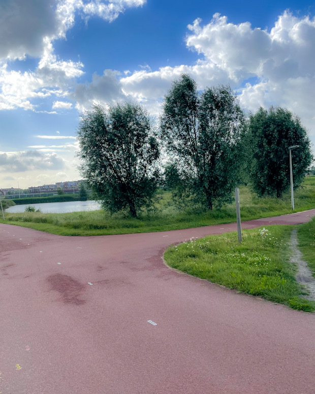 Vertakkende paden in een groen landschap zonder duidelijke richting.