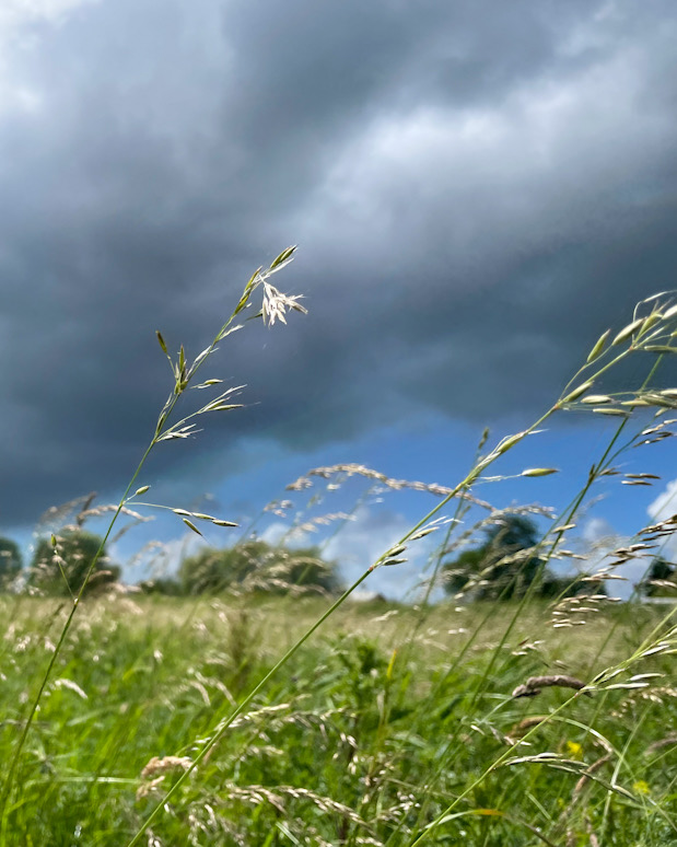 Donkere wolken boven een grasveld terwijl het zonlicht nog zichtbaar is.